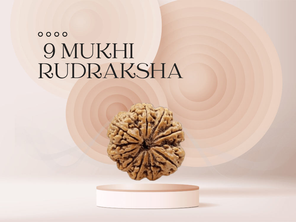 9 Mukhi Rudraksha: Benefits, Power and Significance