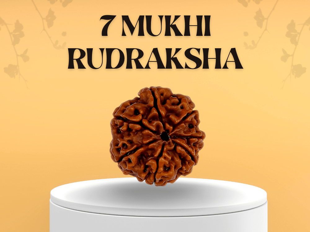 7 Mukhi Rudraksha: Benefits, Power and Significance