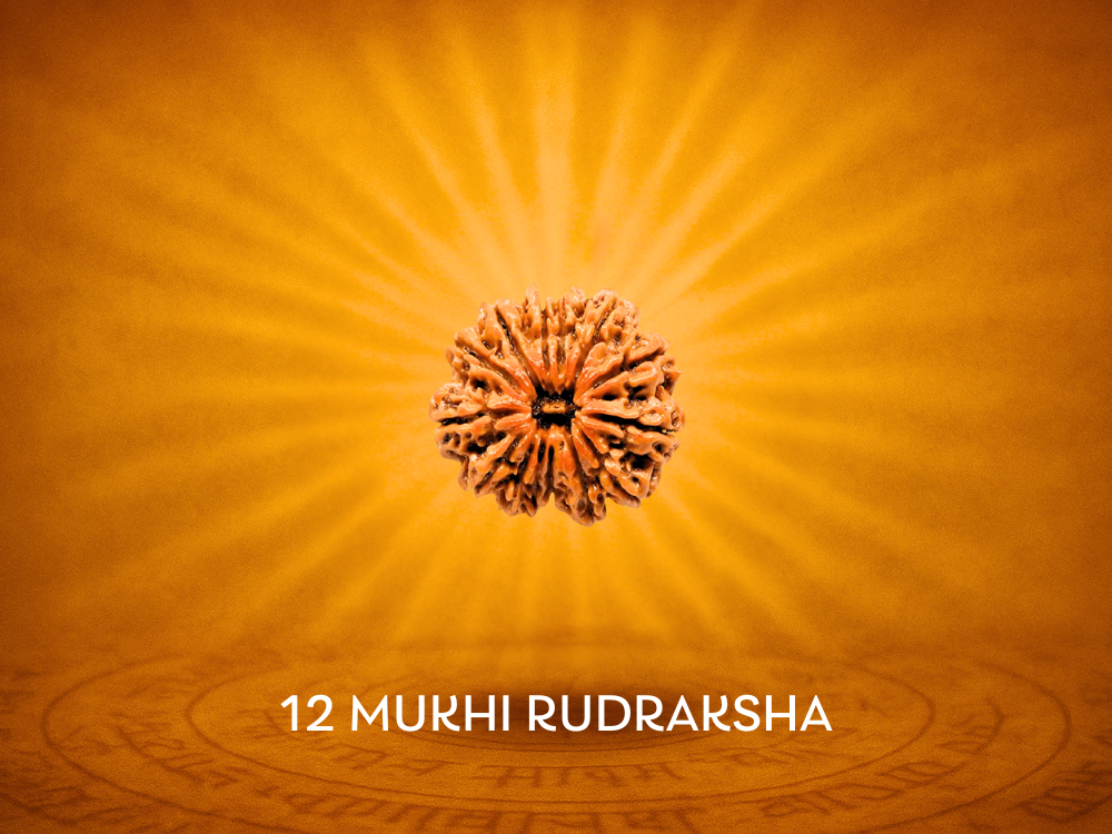 12 Mukhi Rudraksha: Benefits, Power and Significance