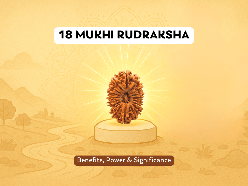 18 Mukhi Rudraksha