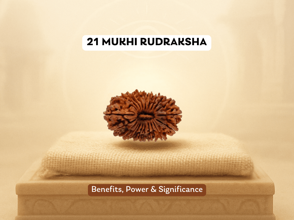 21 Mukhi Rudraksha