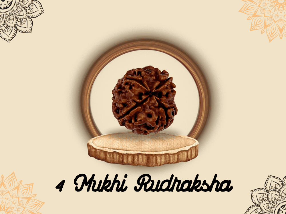 4 Mukhi Rudraksha: Benefits, Power, and Significance