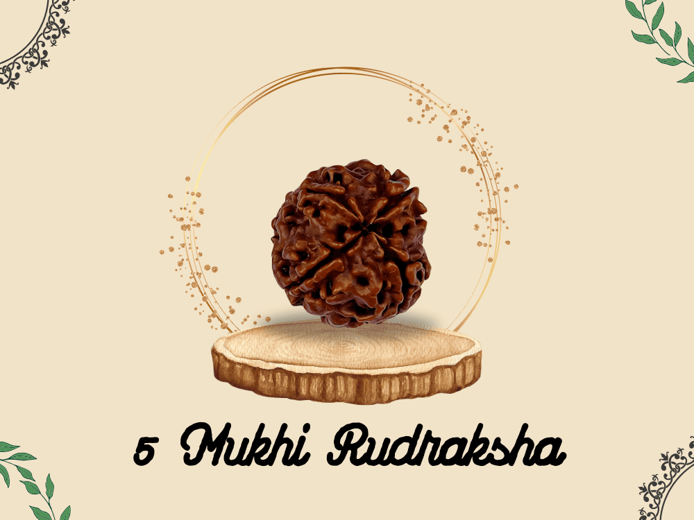 5 Mukhi Rudraksha: Benefits, Power, and Significance