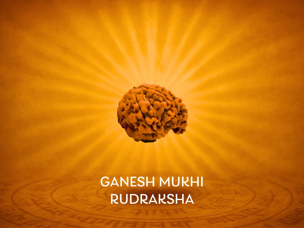 Ganesh Mukhi Rudraksha Benefits
