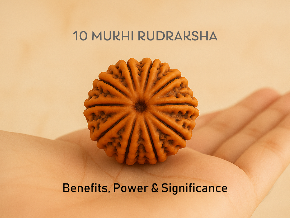 10 Mukhi Rudraksha: Benefits, Power and Significance