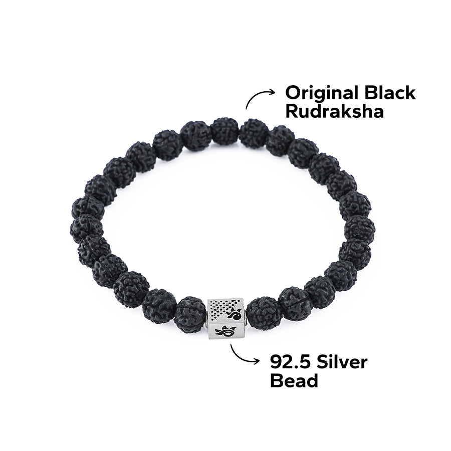 Original Black Rudraksha
