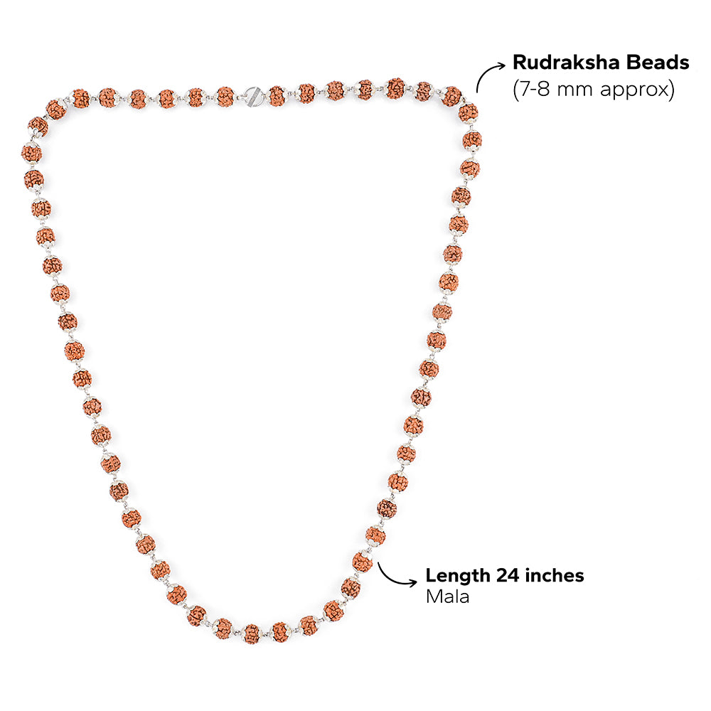 Rudraksha Silver Mala ( 8 – 9 mm Rudraksha Size)