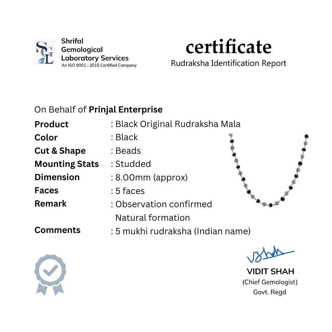 Black Rudraksha with Om Silver Beads Mala