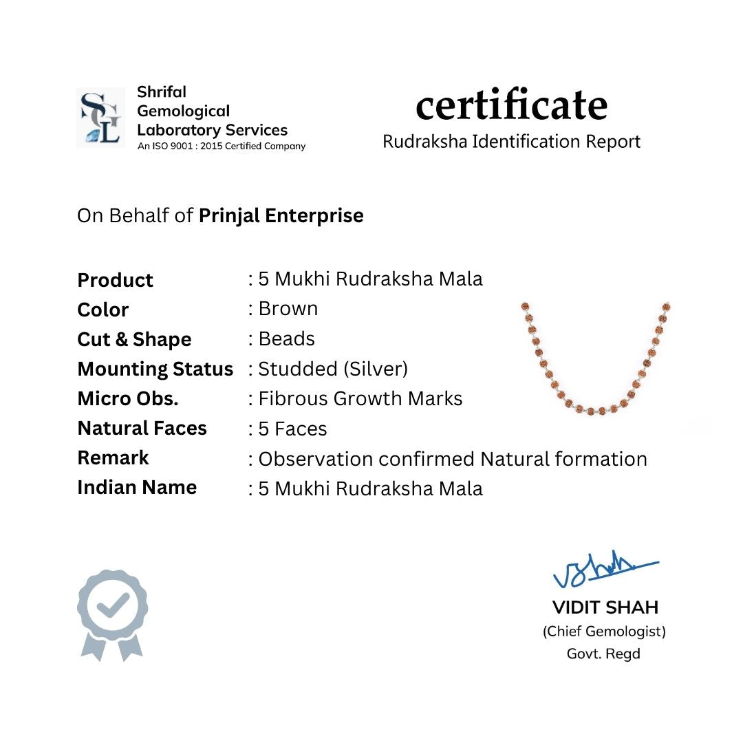 Rudraksha Silver Mala ( 8 – 9 mm Rudraksha Size)