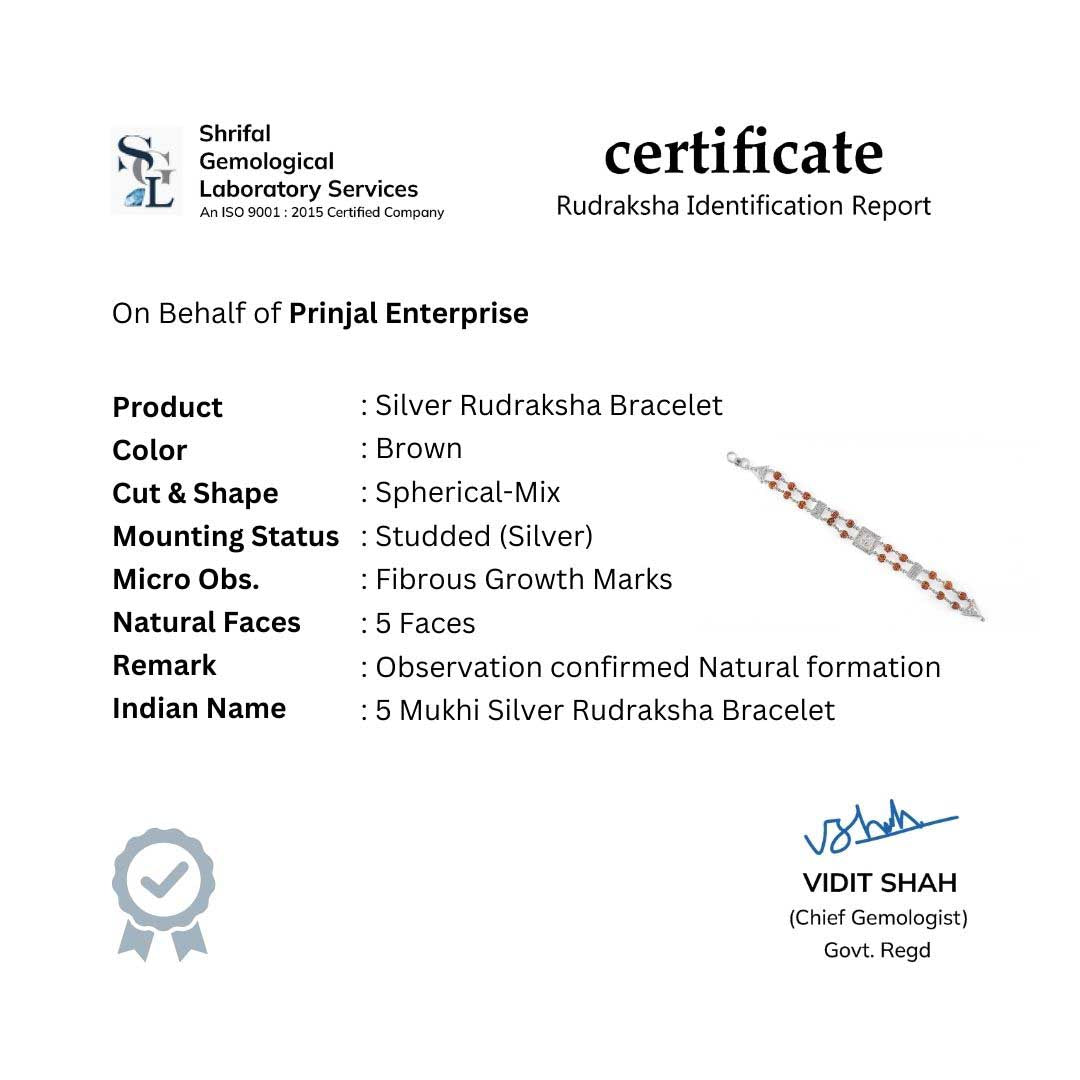 Rudraksha Silver Bracelet with Central Naag Double Line