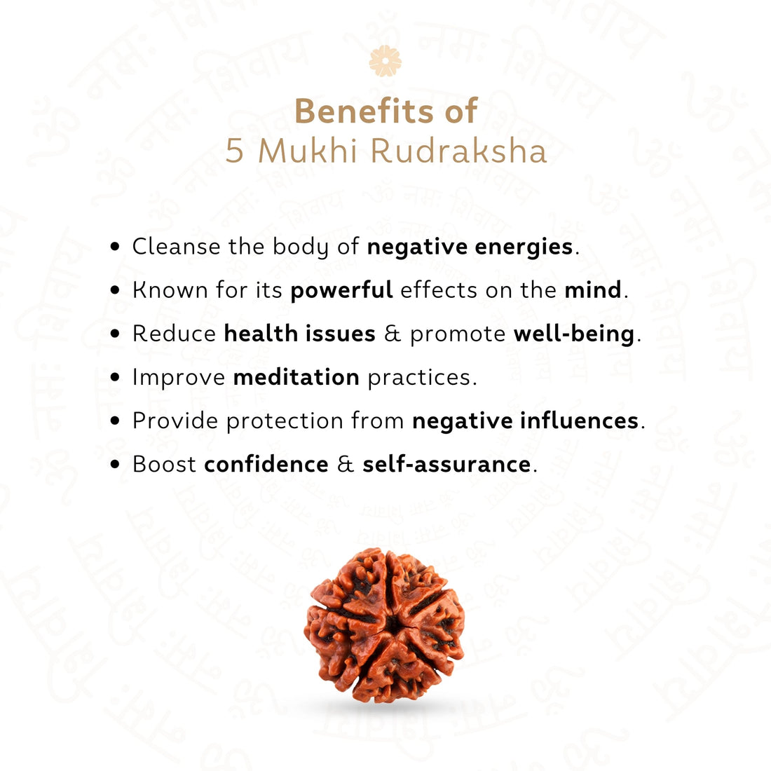 Benefits of 5 Mukhi Rudraksha