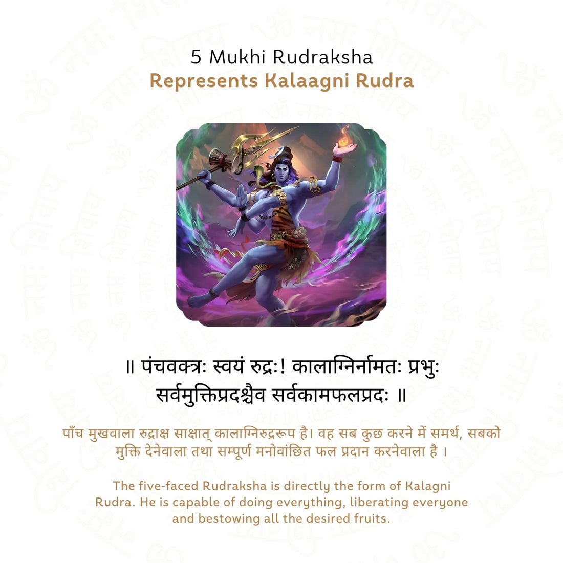 5 Mukhi Rudraksha Story