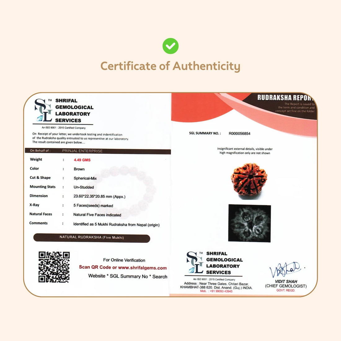 Buy Orignal 5 Mukhi Rudraksha ( Nepali ) Online at Best Price
