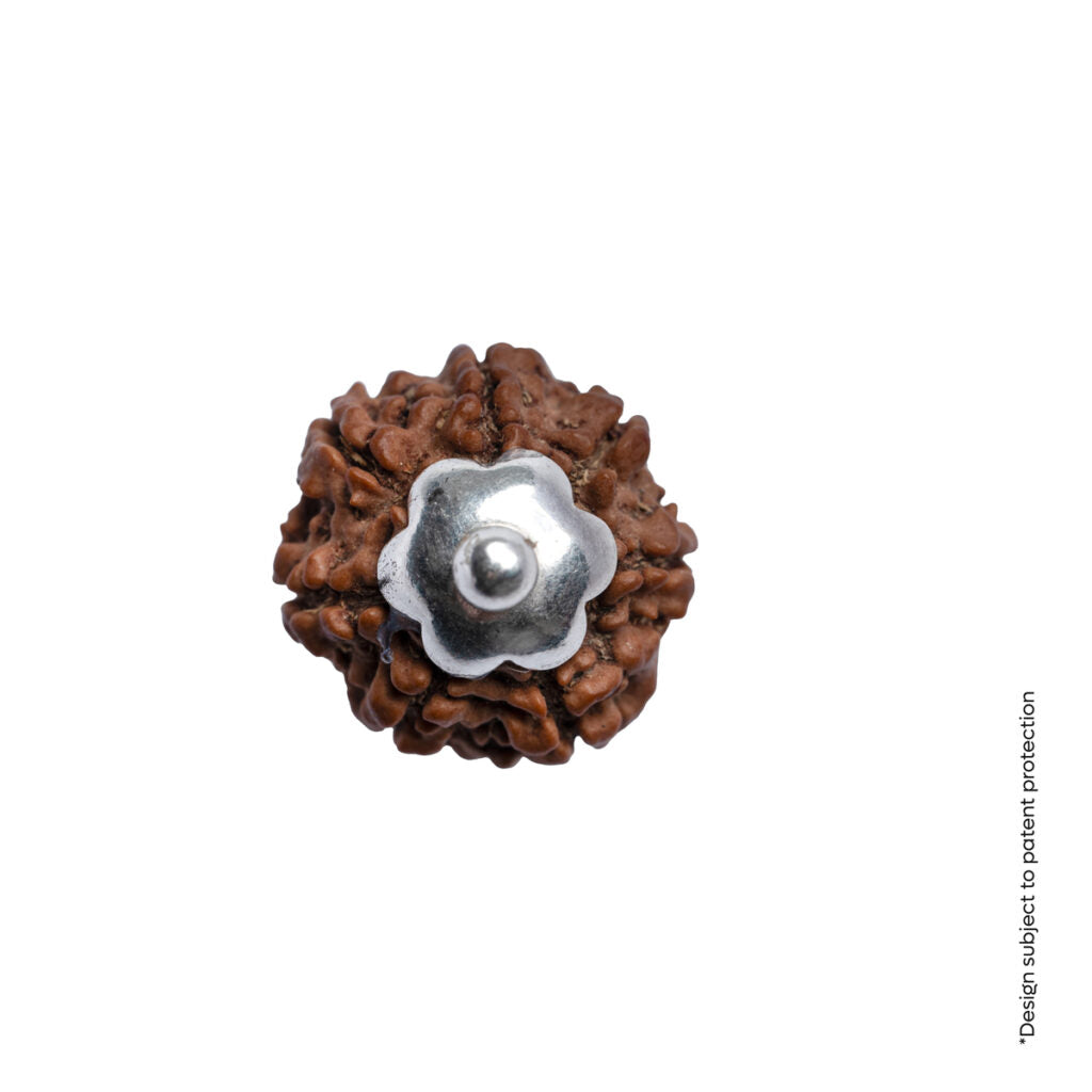 Adiyogi Pendant (7 Mukhi Nepali Rudraksha)