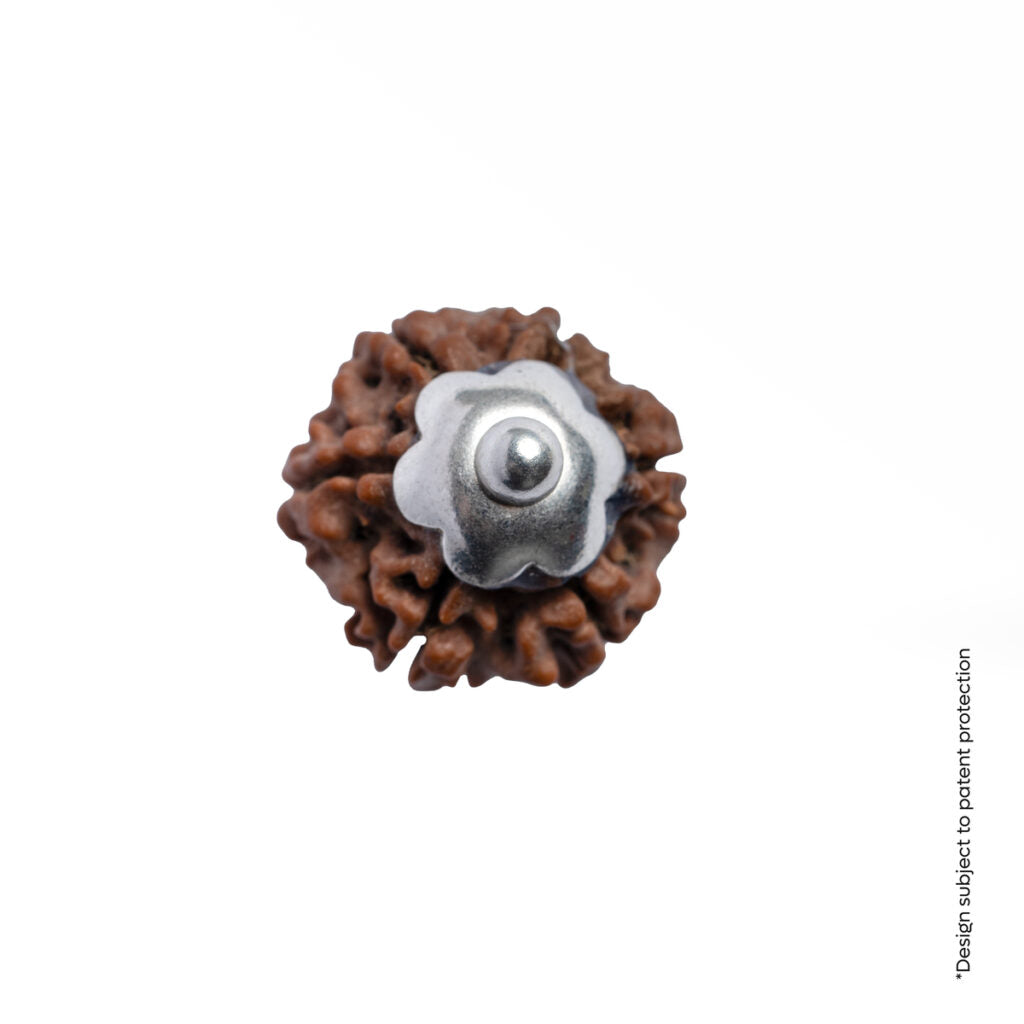 Adiyogi Pendant (6 Mukhi Nepali Rudraksha)