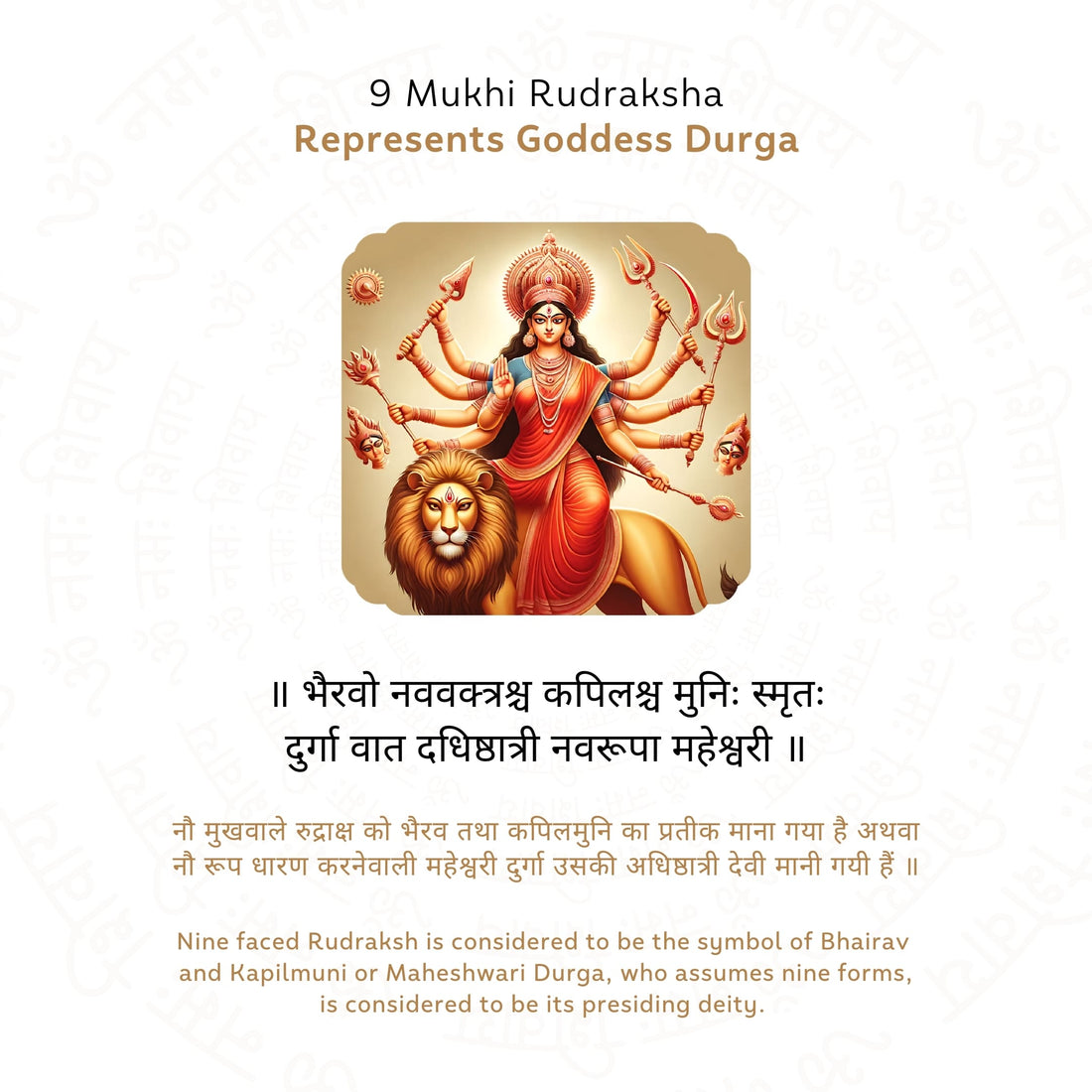 9 Mukhi Rudraksha Story
