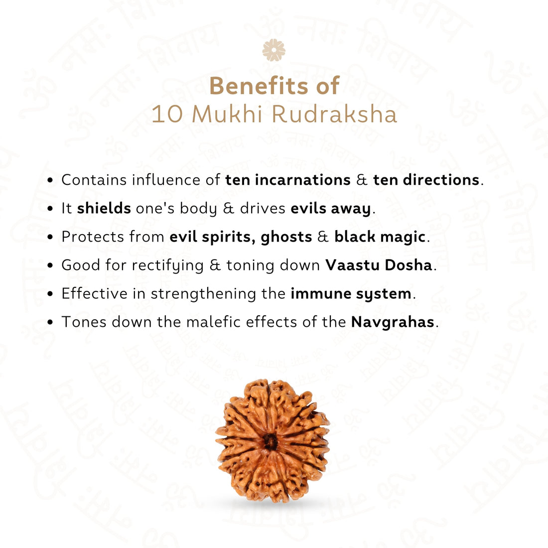 Benefits of 10 Mukhi Rudraksha