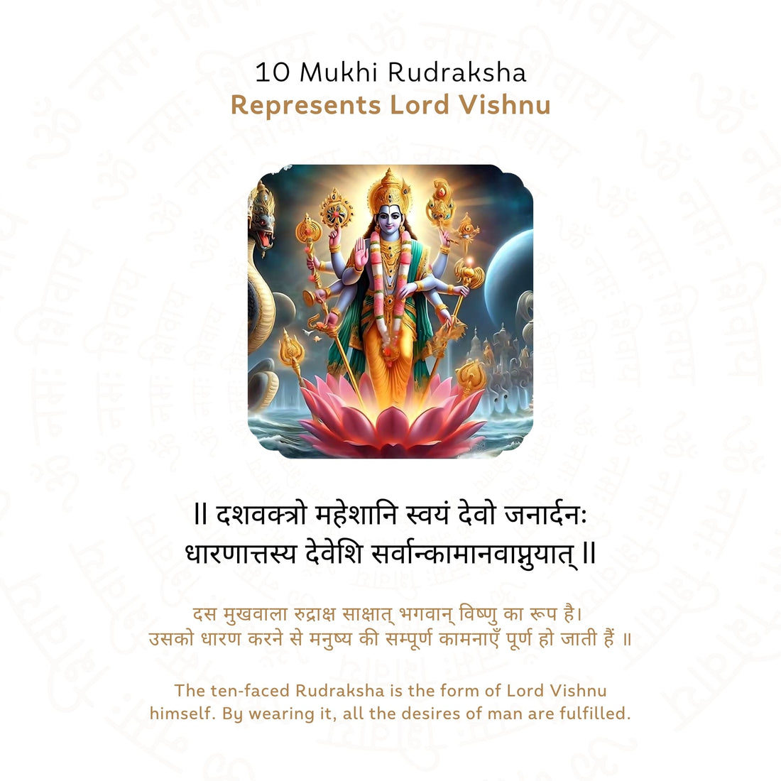 10 Mukhi Rudraksha Story