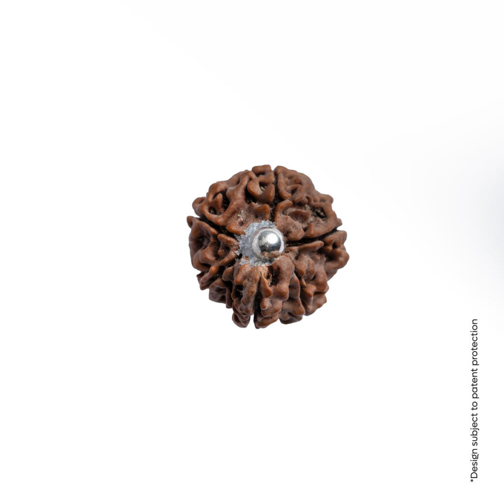 Adiyogi Pendant (Ganesh Mukhi Nepali Rudraksha)