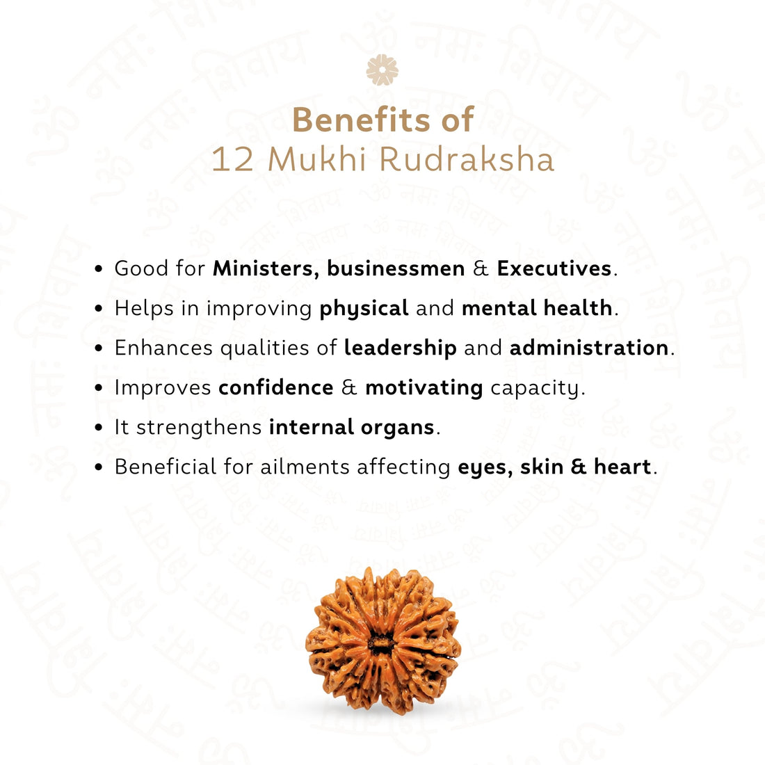 Benefits of 12 Mukhi Rudraksha