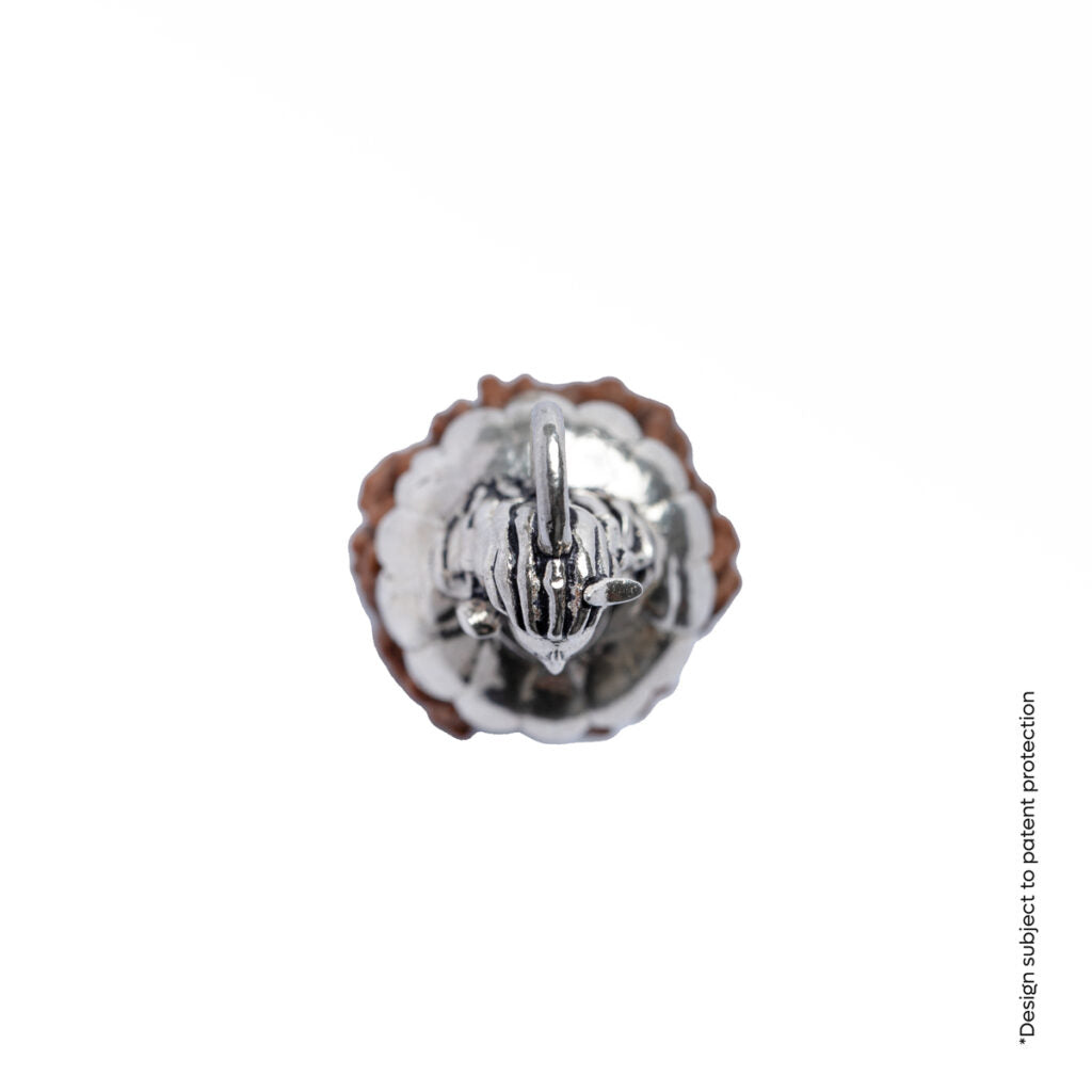 Adiyogi Pendant (6 Mukhi Nepali Rudraksha)