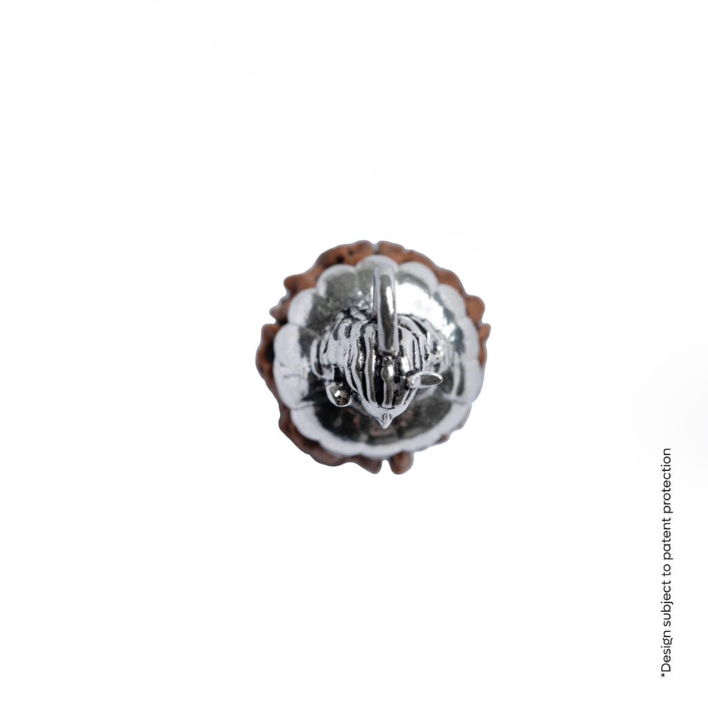Adiyogi Pendant (Ganesh Mukhi Nepali Rudraksha)