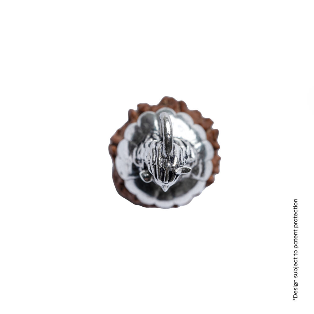 Adiyogi Pendant (7 Mukhi Nepali Rudraksha)