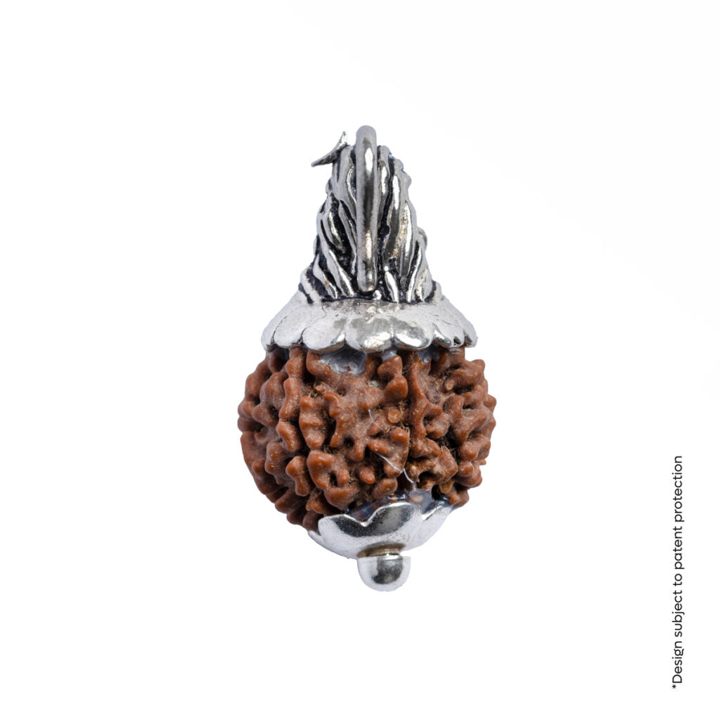 Adiyogi Pendant (6 Mukhi Nepali Rudraksha)