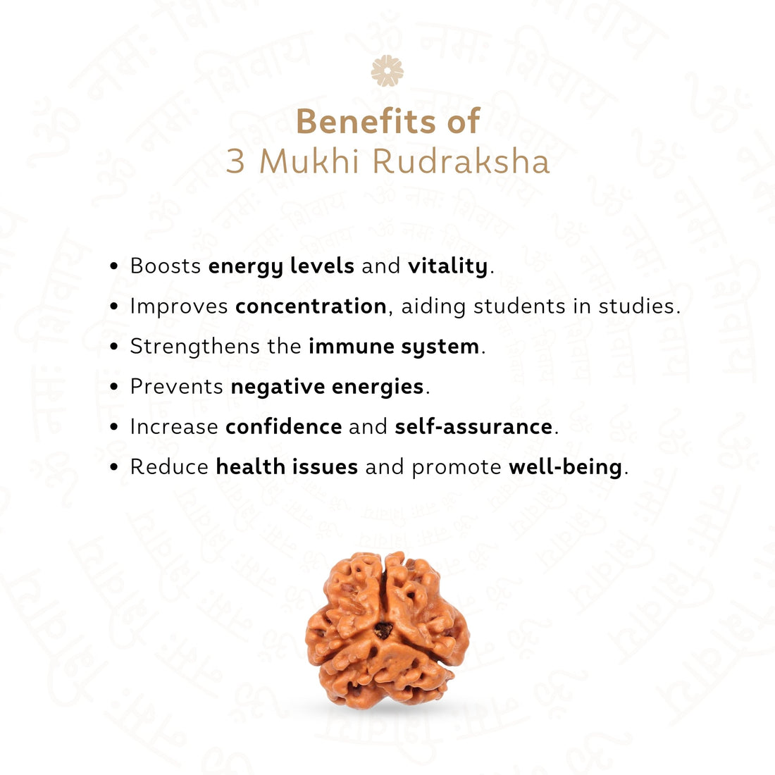 Benefits of 3 Mukhi Rudraksha
