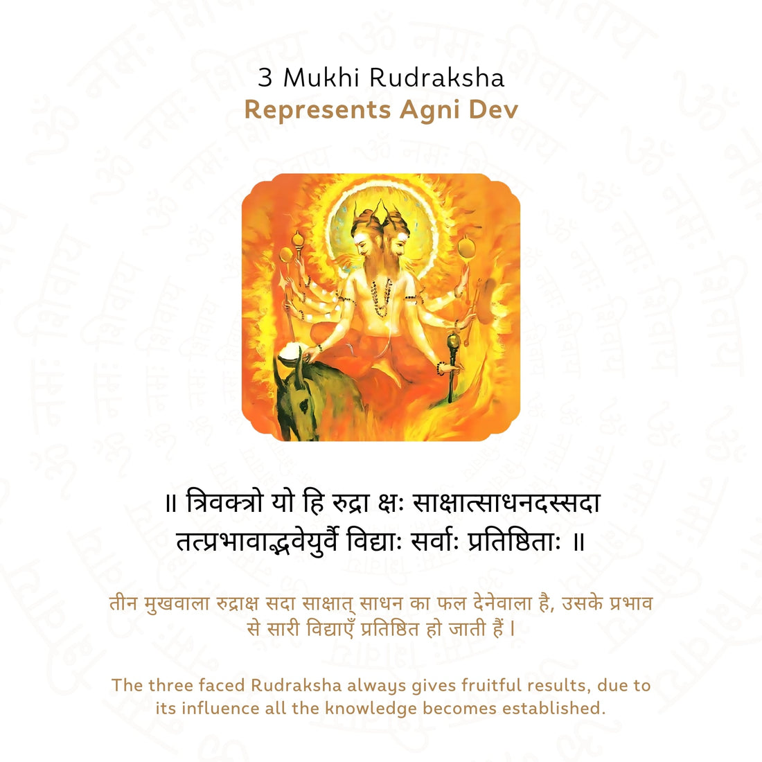 3 Mukhi Rudraksha Story