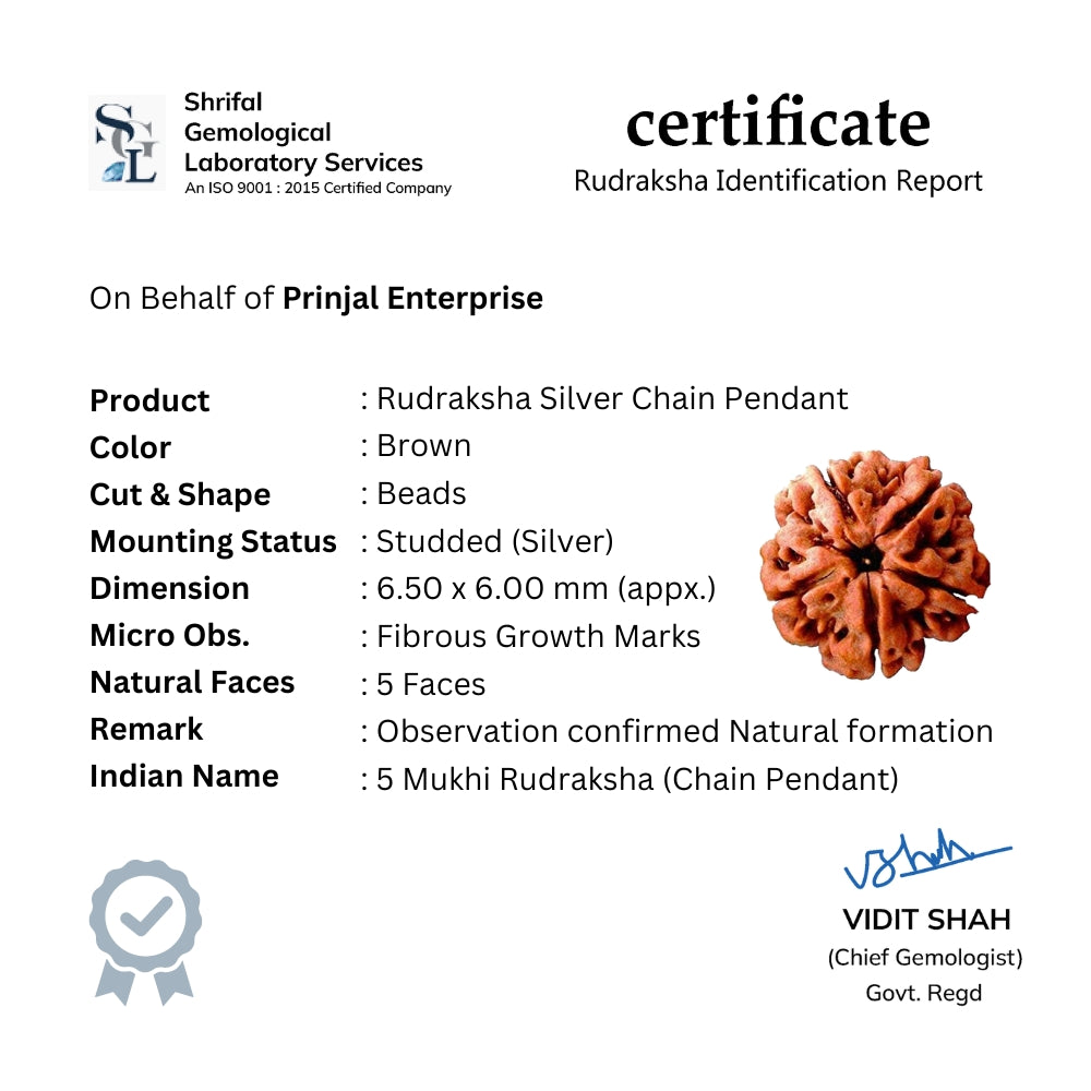 Rudraksha Silver with Trishul and Damru Chain with Pendant for Men