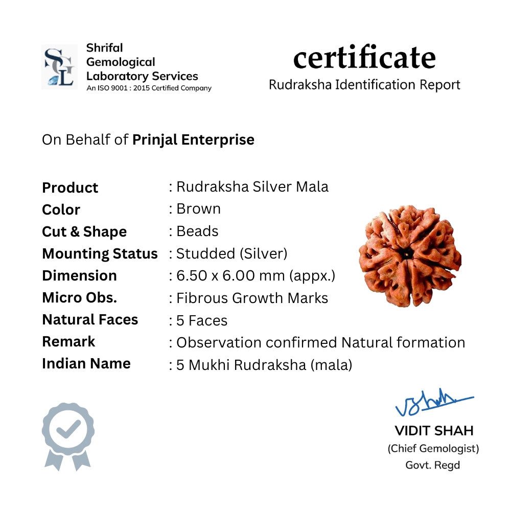 Rudraksha Silver Mala (Spherical Beads)