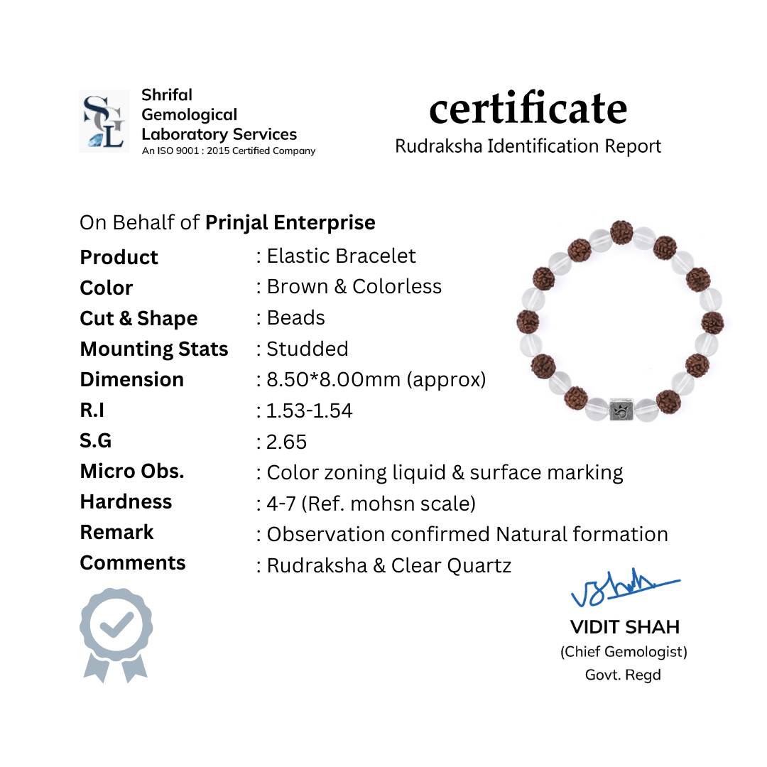 Rudraksha with Sphatik Beads Bracelet