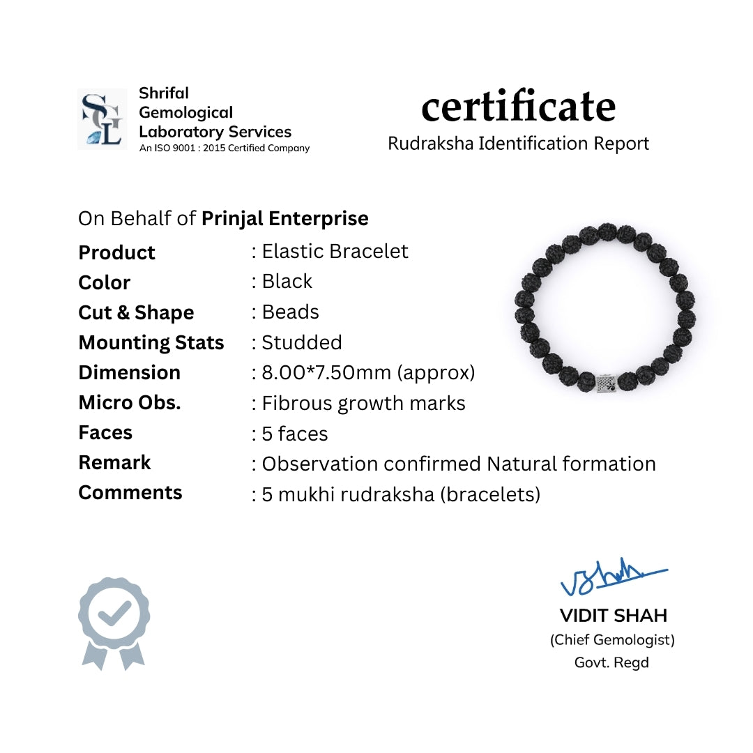Black Rudraksha Beads Bracelet
