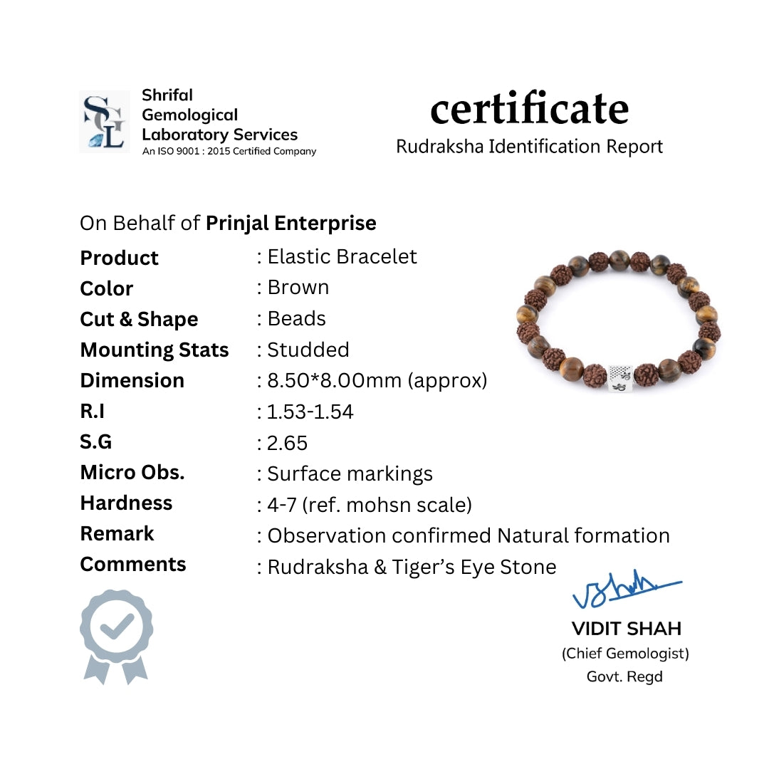 Rudraksha with Tiger Eye Stone Bracelet