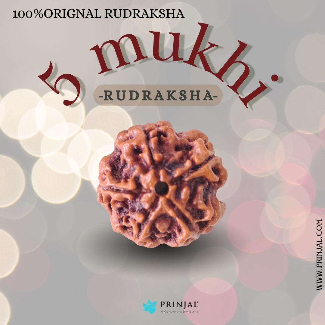 5 Mukhi Rudraksha