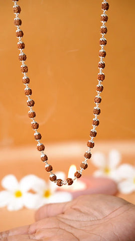 Collection Image