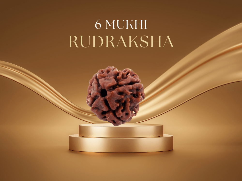 6 Mukhi Rudraksha: Benefits, Power, and Significance