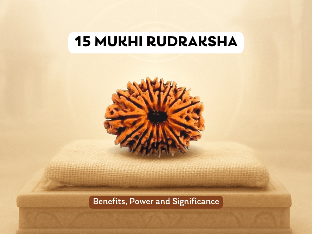 15 Mukhi Rudraksha: Benefits, Power and Significance