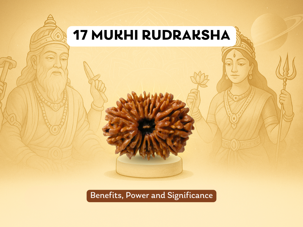 17 Mukhi Rudraksha