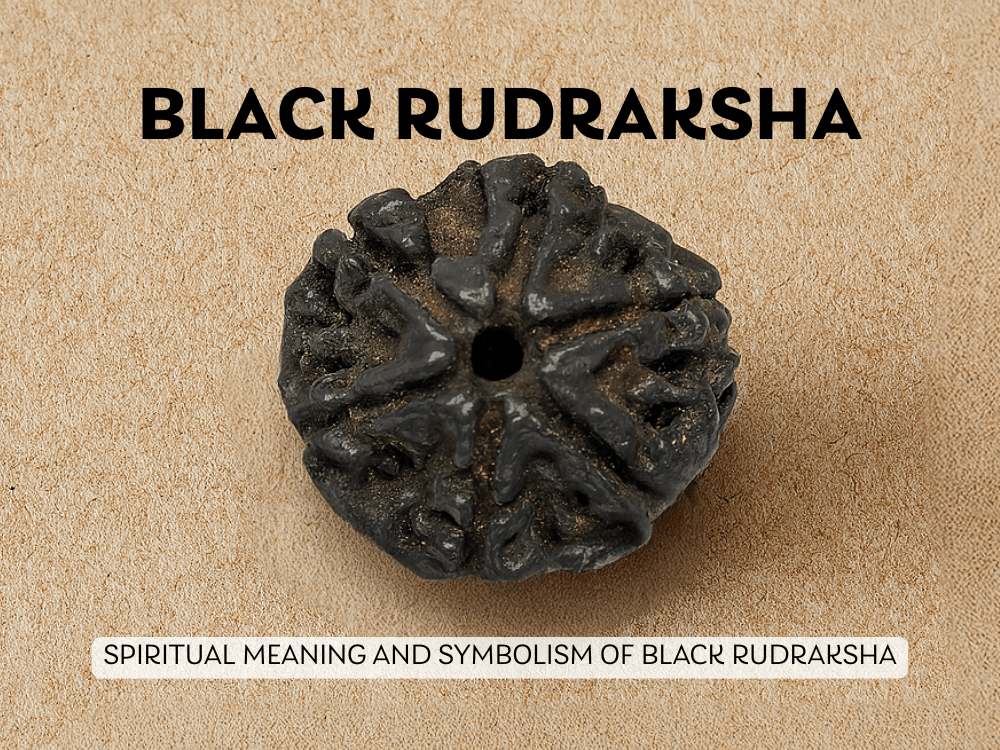Black Rudraksha: Meaning, Healing Power, Benefits, and Uses