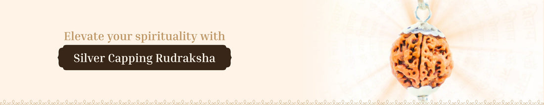 Silver Capping Rudraksha