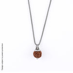 Adiyogi Pendant (6 Mukhi Nepali Rudraksha)