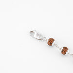 Authentic Rudraksha Shiva Eye Bracelet