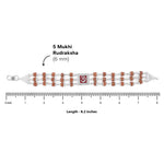 Original Rudraksha Red Om Triple Line Bracelet