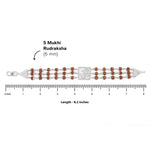 92.5 Silver Om Triple Line Rudraksha Bracelet