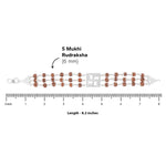 Authentic Rudraksha Silver Swastik Triple Line Bracelet