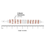 Original Rudraksha Shree Triple Line Bracelet
