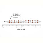 Silver Rakhi with Rudraksha, Om Flower Brooch, Double Line Bracelet