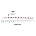 Authentic Rudraksha Silver Om Beads Capping Bracelet